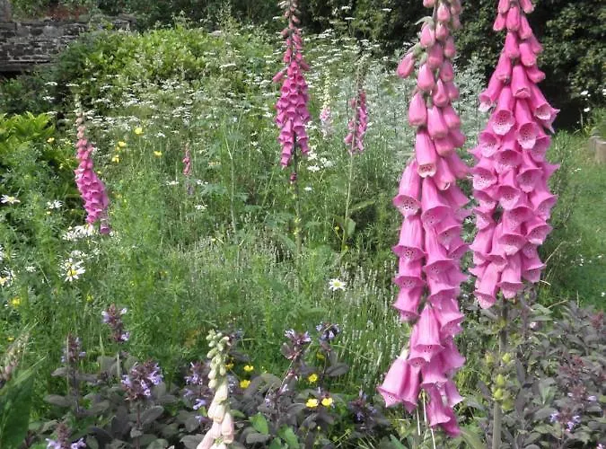 Bed & Breakfast Le Presbytere De 3*